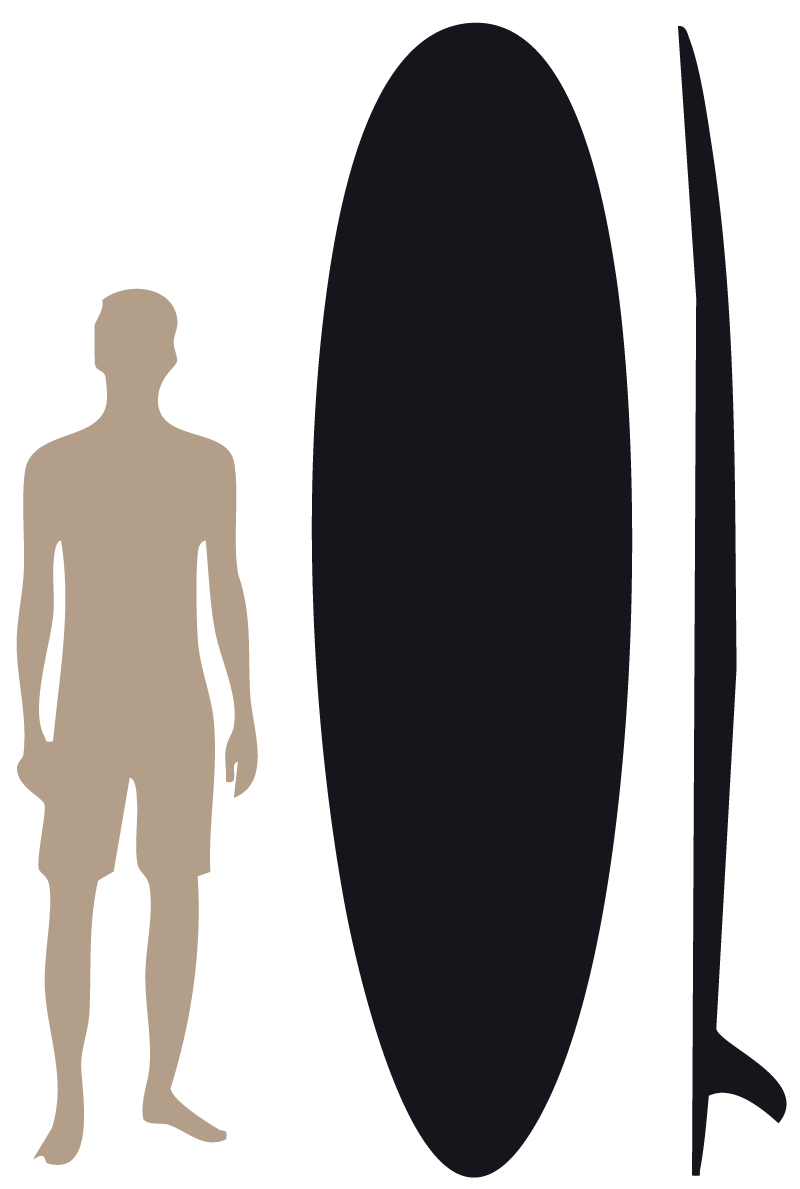 The Companion