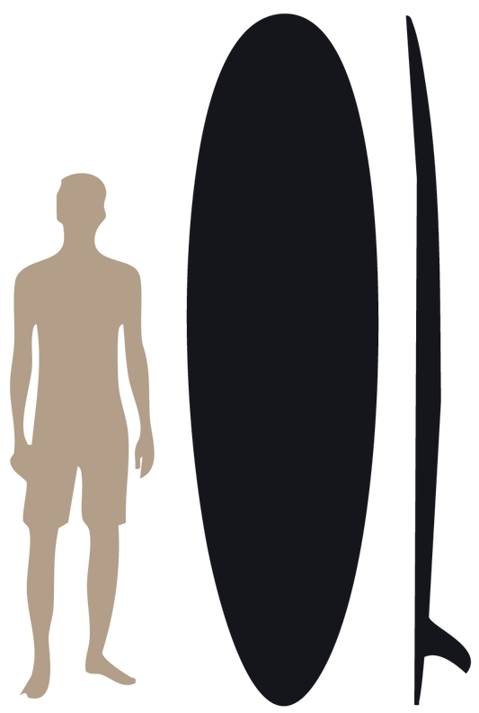 The Companion